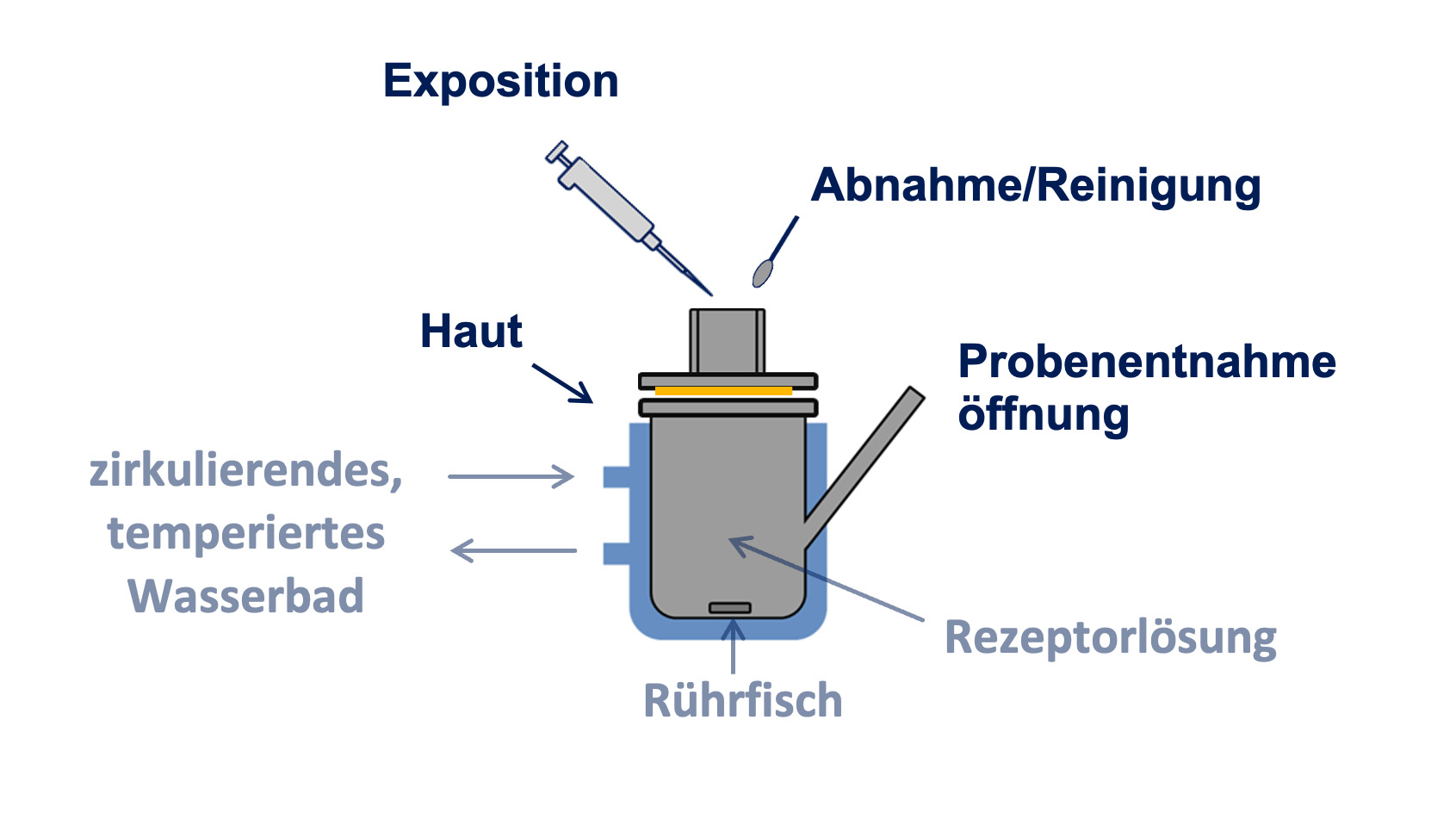 Versuchsaufbau zur Kontamination mit Flusssäure