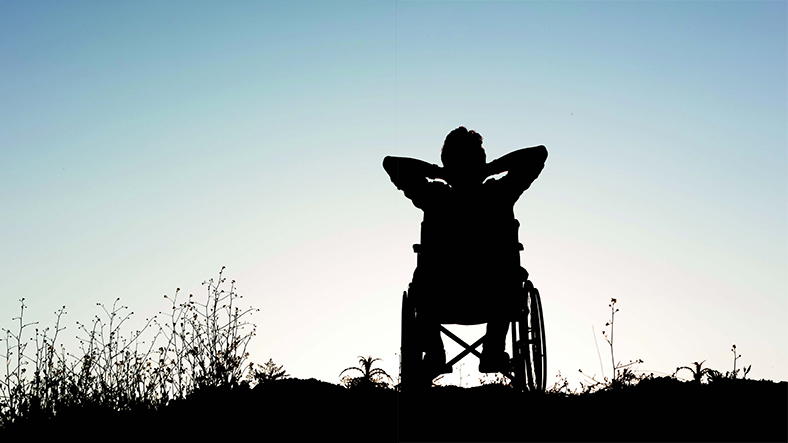 Pflege: Person sitzt im Rollstuhl auf einer Wiese im abendlichen Gegenlicht.
