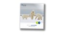 Wandkalender 2025-2026