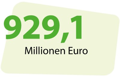 Teilhabeleistungen: 929,1 Millionen Euro.