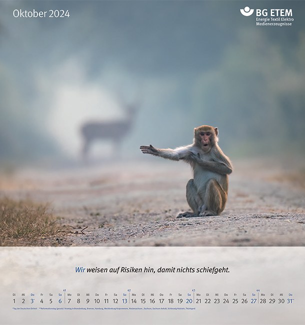 Blatt aus dem BG ETEM Wandkalender 2024/2025 mit dem Bild eines Affen, der auf einem Weg sitzt