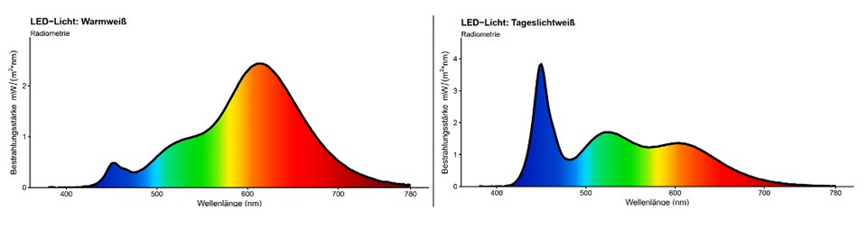 Zwei Flächendiagramme, die das Verhältnis von Bestrahlungsstärke und Wellenlänge abbildet, einmal für warm-weißes und einmal für tageslichtweißes LED-Licht zeigen.