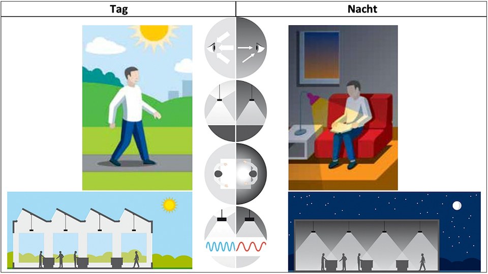 Grafik aus mehreren Einzelillustration, die die Beleuchtungssituationen und Einflussfaktoren für Aktivitäten bei Tag und bei Nacht zeigen.